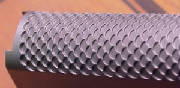 snakecropped.jpg