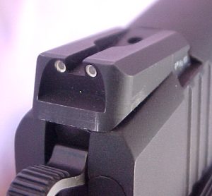 det1rearsight.jpg